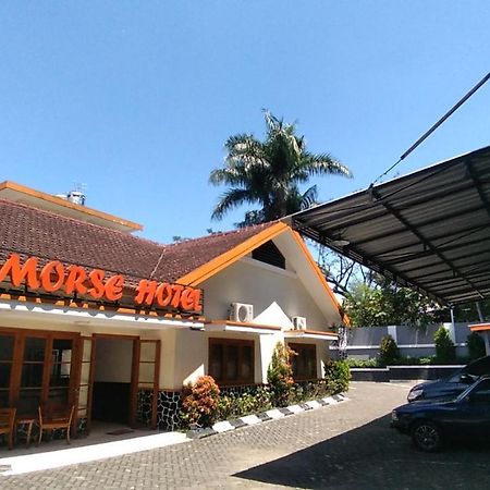 Morse Guest House Маланг Екстериор снимка